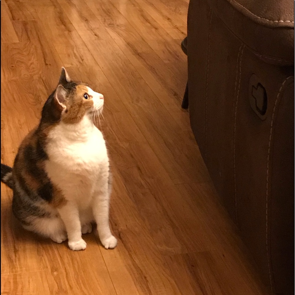 Meet your Posher, Robin